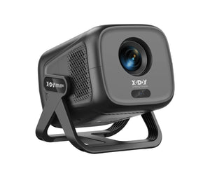 Native 1080P 450ANSI